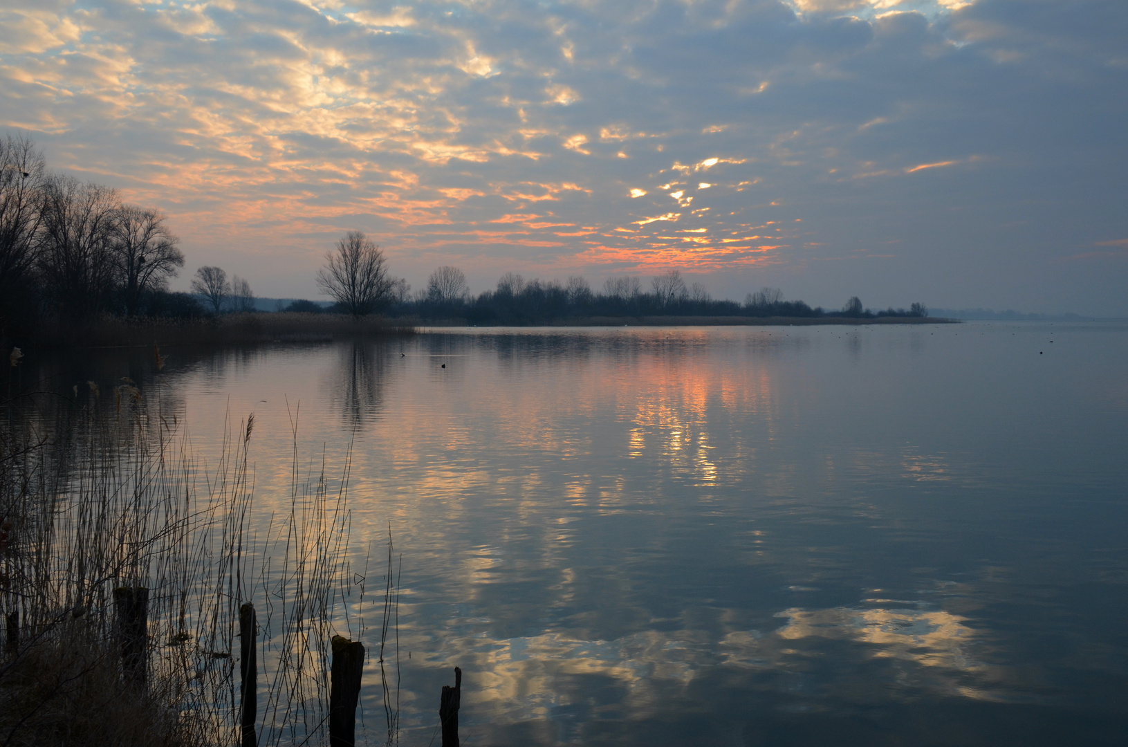 Morgens am Lac de Madine