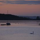 morgens am Lac de Madine