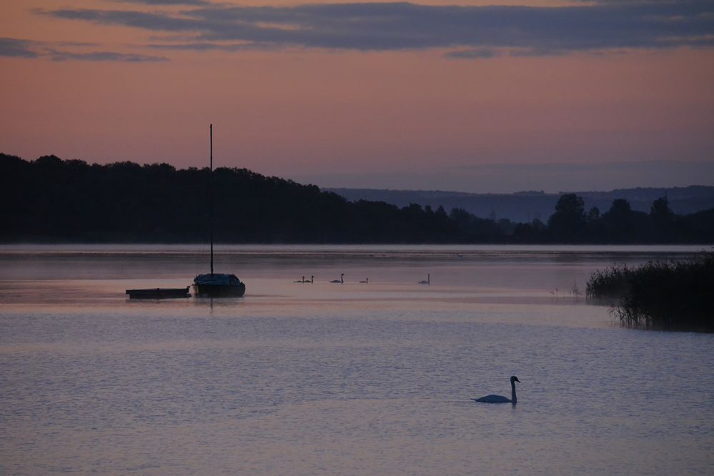 morgens am Lac de Madine