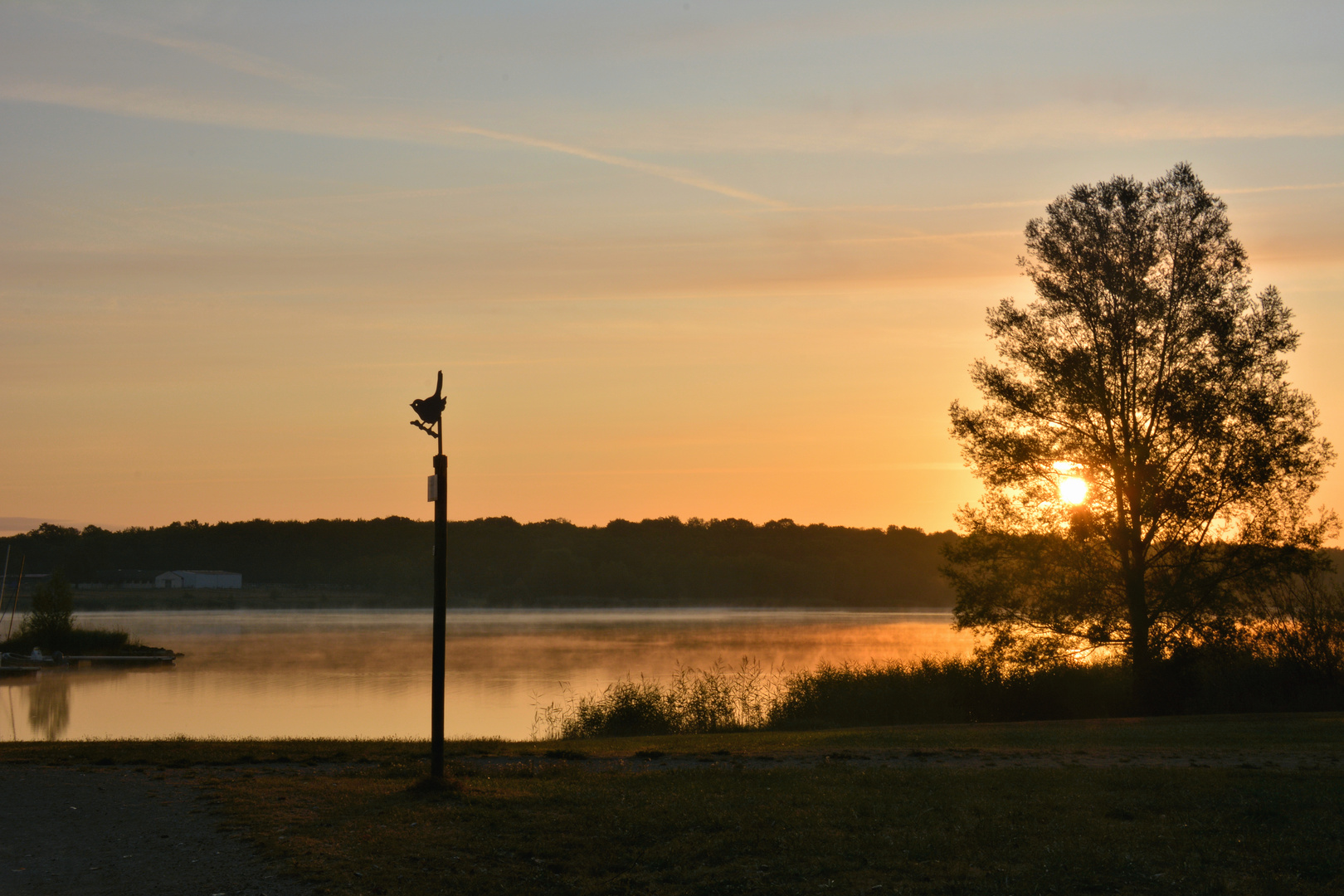 morgens am Lac de Madine