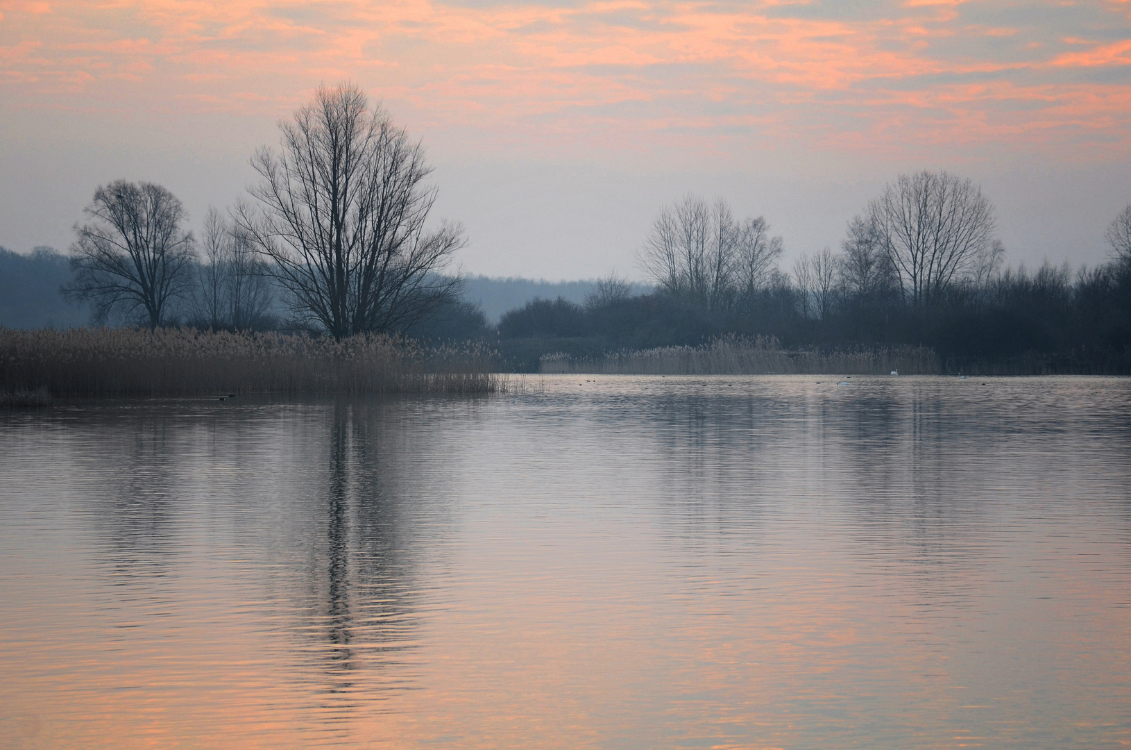 Morgens am Lac de Madine