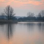 Morgens am Lac de Madine