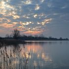 Morgens am Lac de Madine