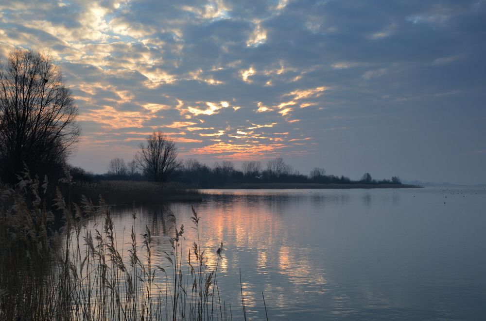 Morgens am Lac de Madine