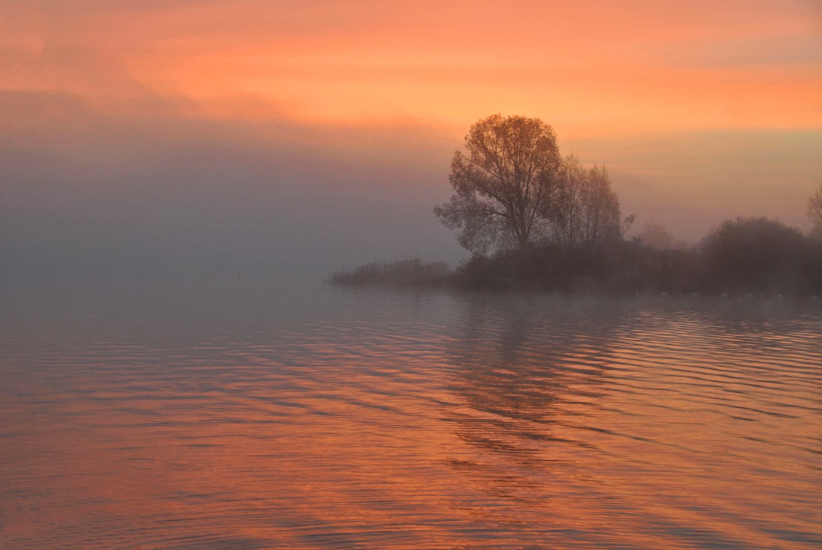 Morgens am Lac de Madine