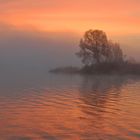 Morgens am Lac de Madine