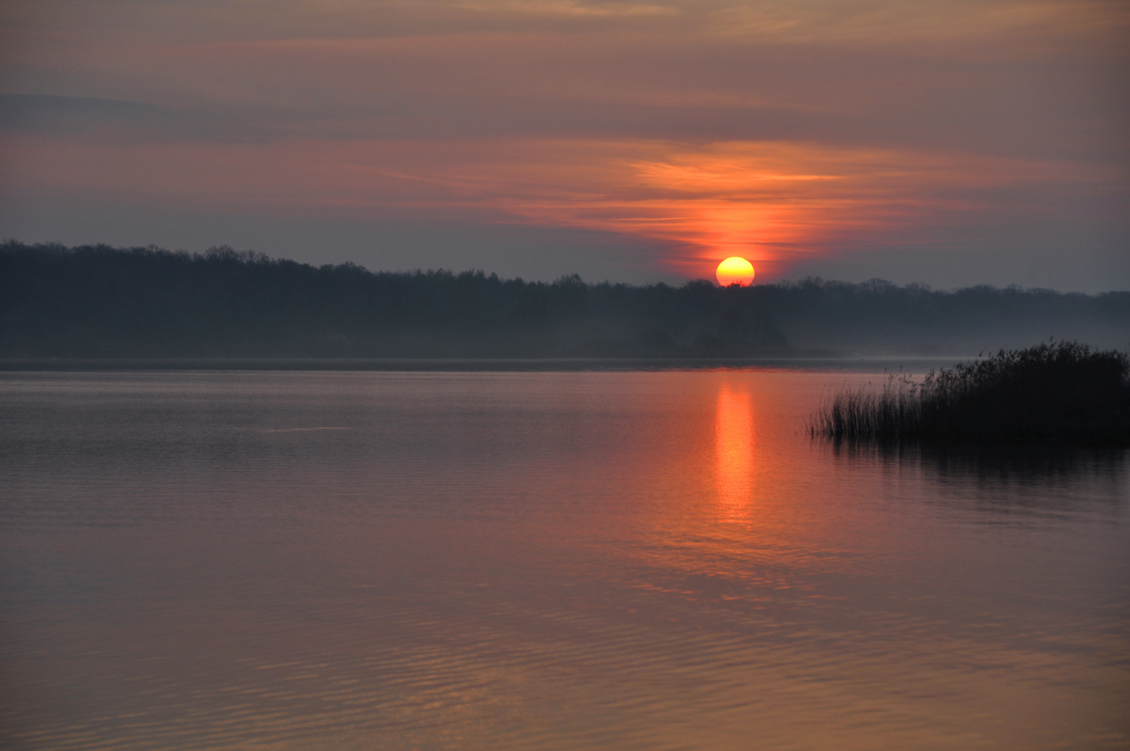 Morgens am Lac de Madine