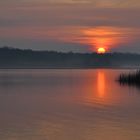 Morgens am Lac de Madine