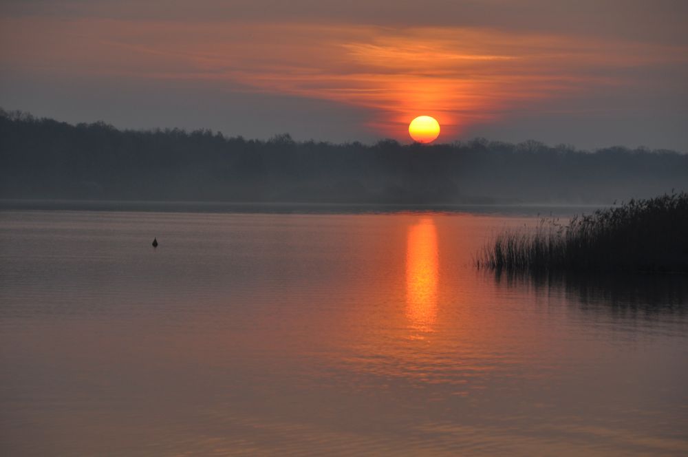 Morgens am Lac de Madine