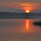 Morgens am Lac de Madine