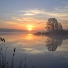 Morgens am Lac de Madine