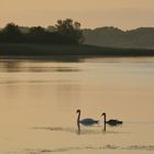 morgens am Lac de Madine