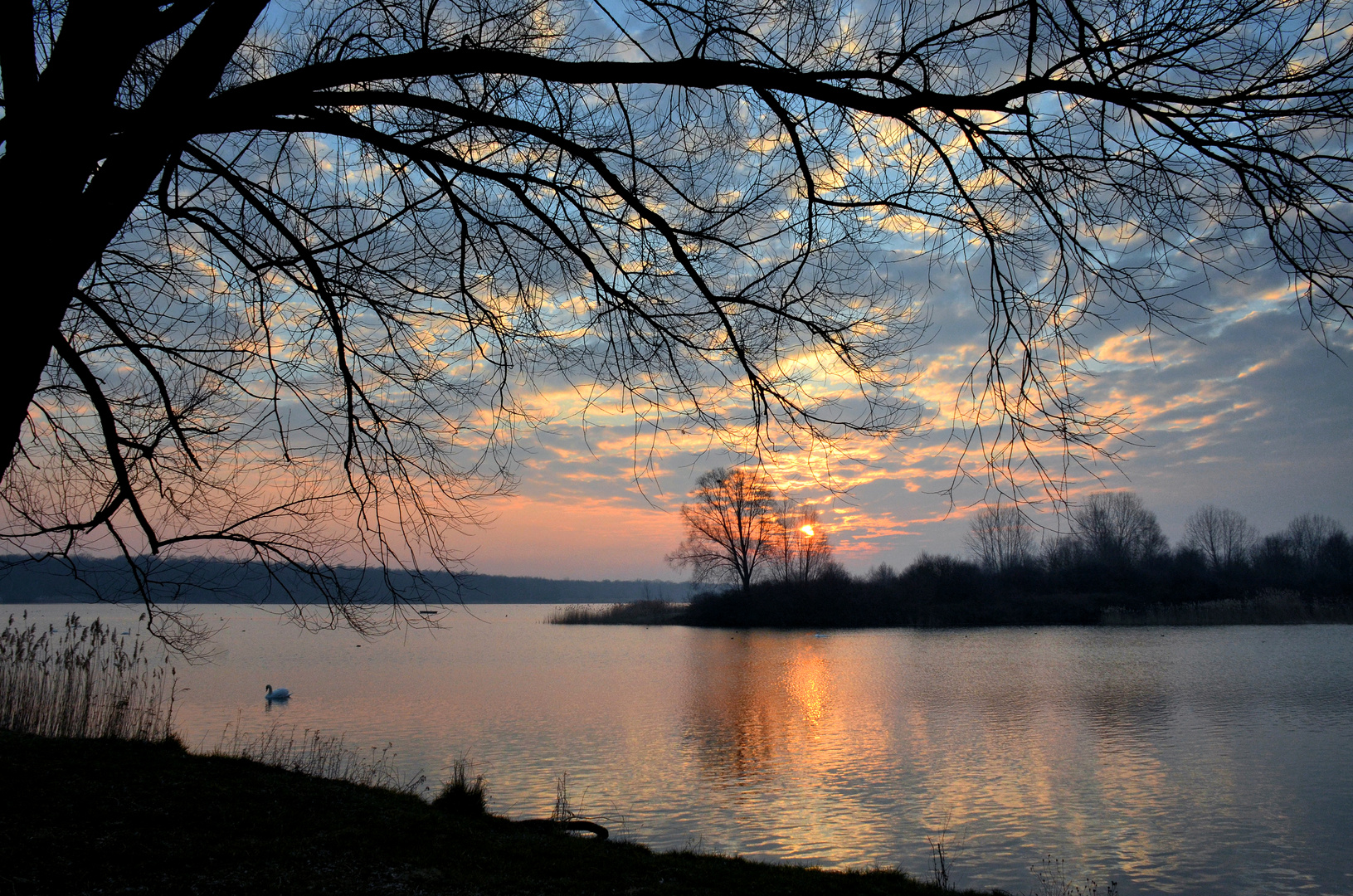 Morgens am Lac de Madine