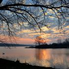 Morgens am Lac de Madine