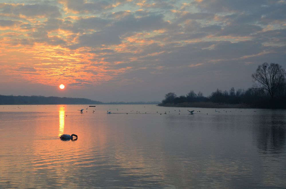 Morgens am Lac de Madine