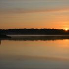 morgens am Lac de Madine