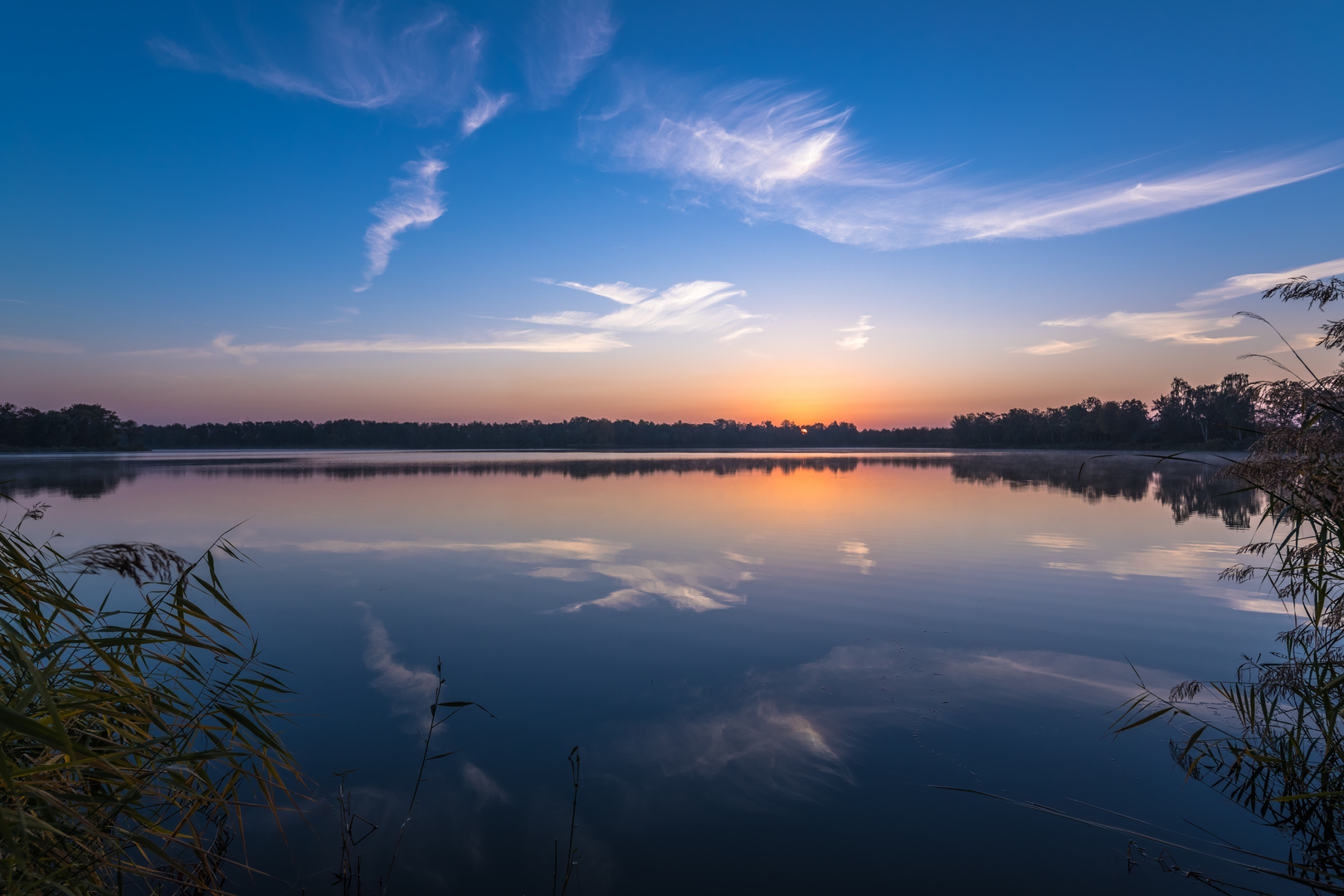 Morgens am Lambsheimer Weiher