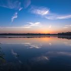 Morgens am Lambsheimer Weiher