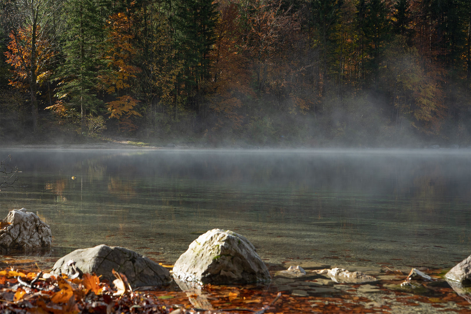 Morgens am Langbathsee 5