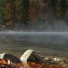 Morgens am Langbathsee 5