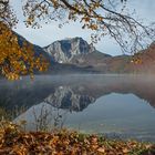 Morgens am Langbathsee