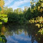 Morgens am Lasbachweiher