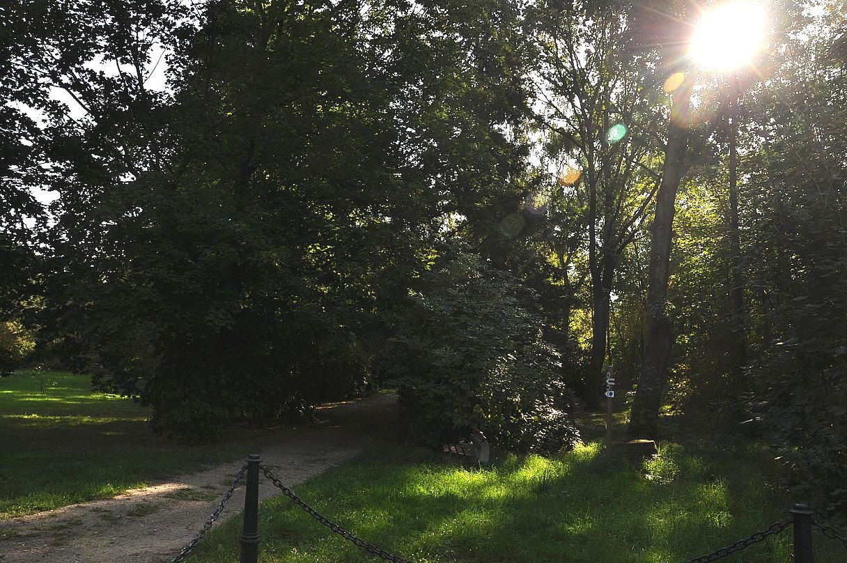 morgens am Löbauer Berg