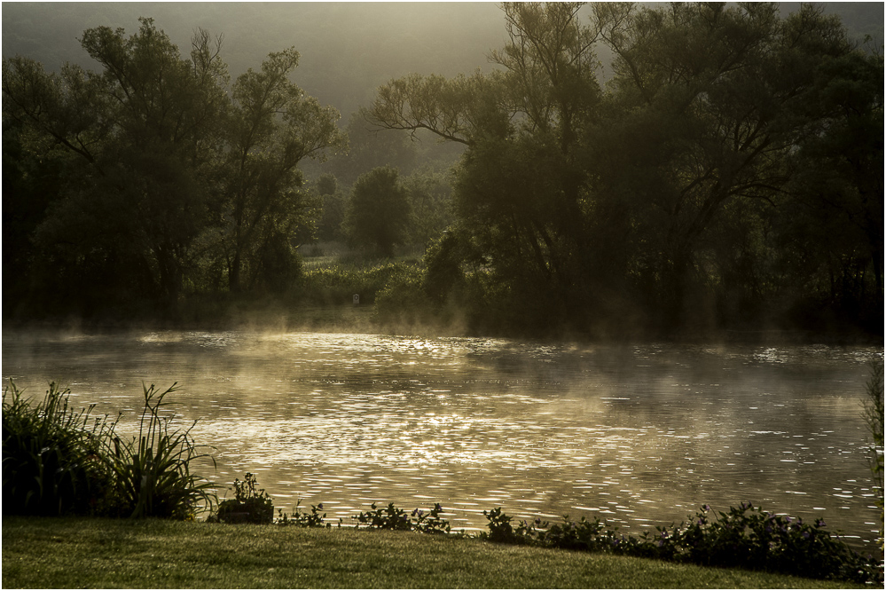 Morgens am Mainufer