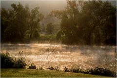 Morgens am Mainufer
