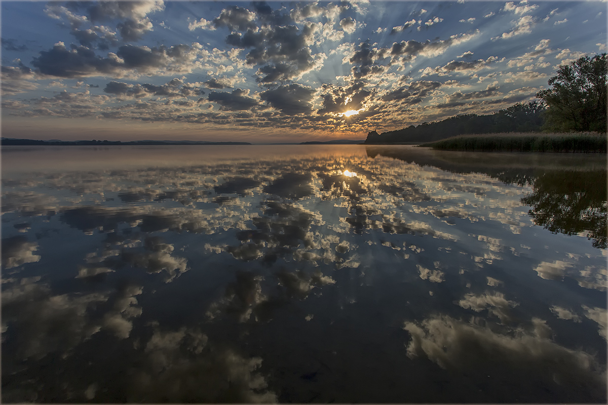 morgens am Malchiner See