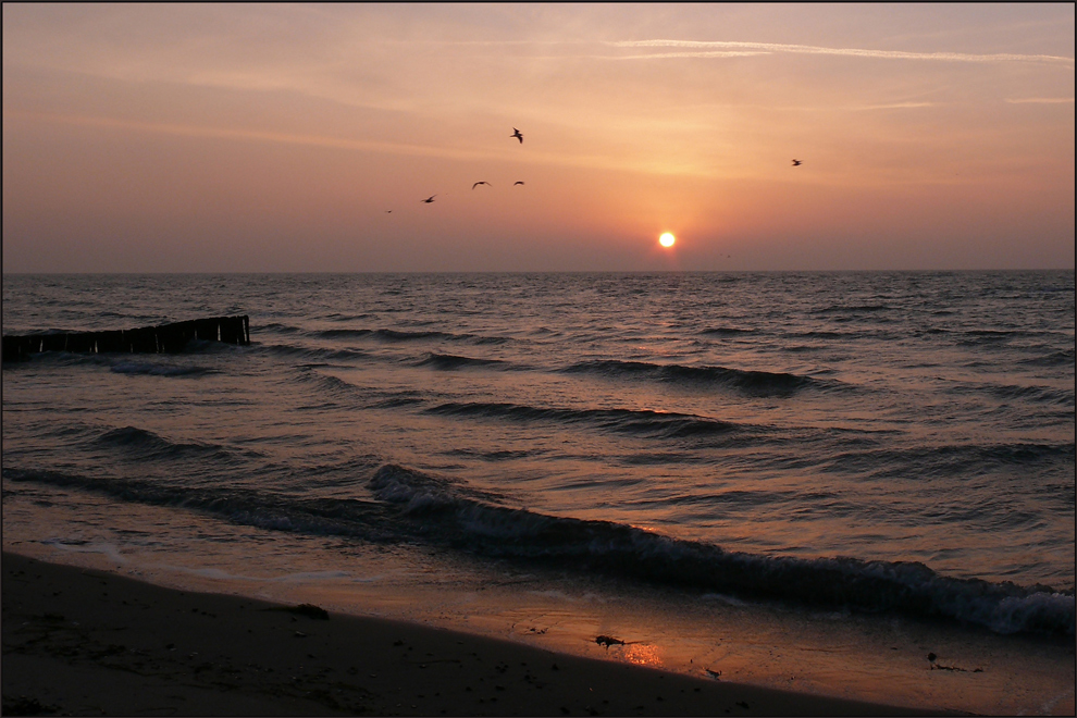 morgens am Meer