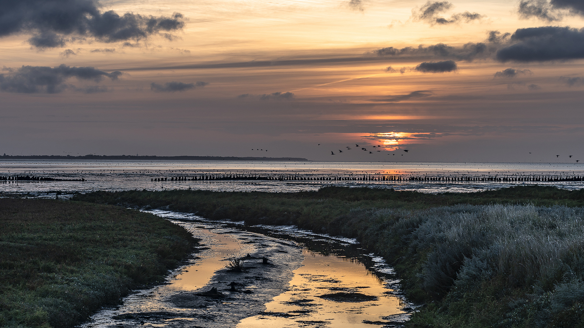 Morgens am Meer