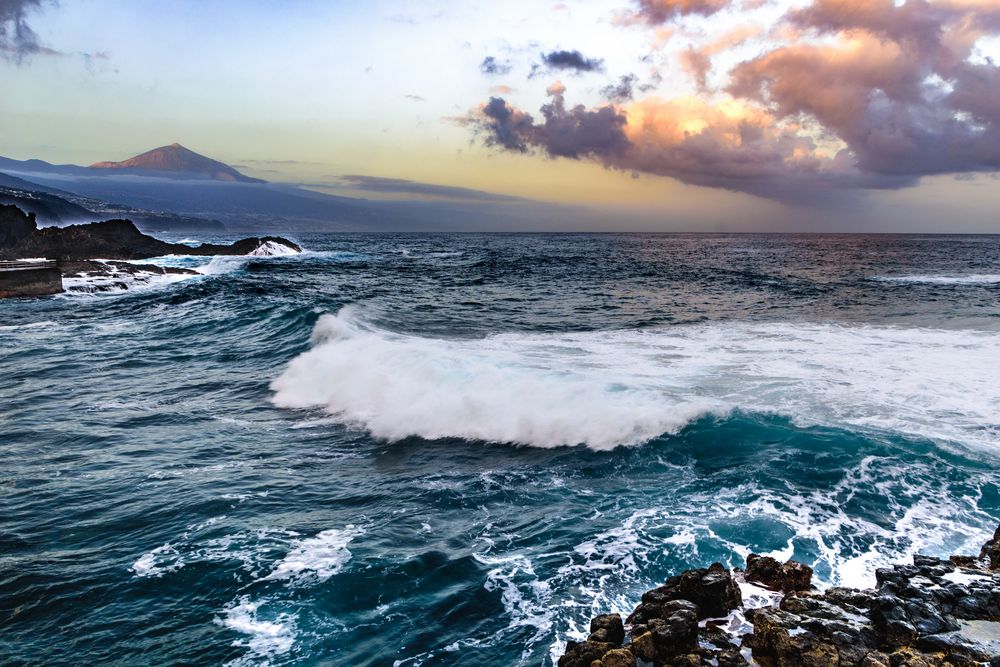 Morgens am Meer - Teneriffa