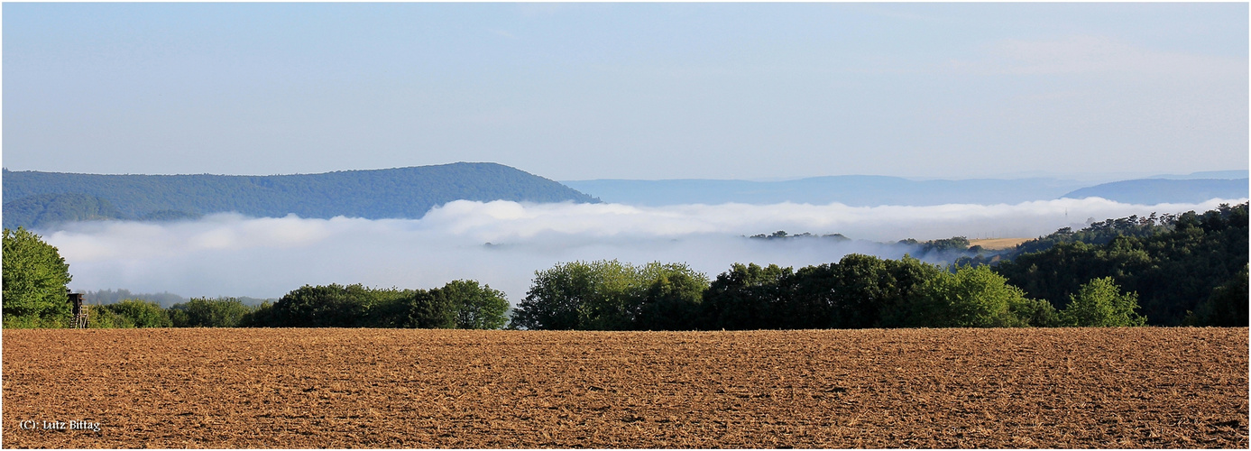 Morgens am Moseltal