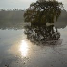 Morgens am Mühlensee