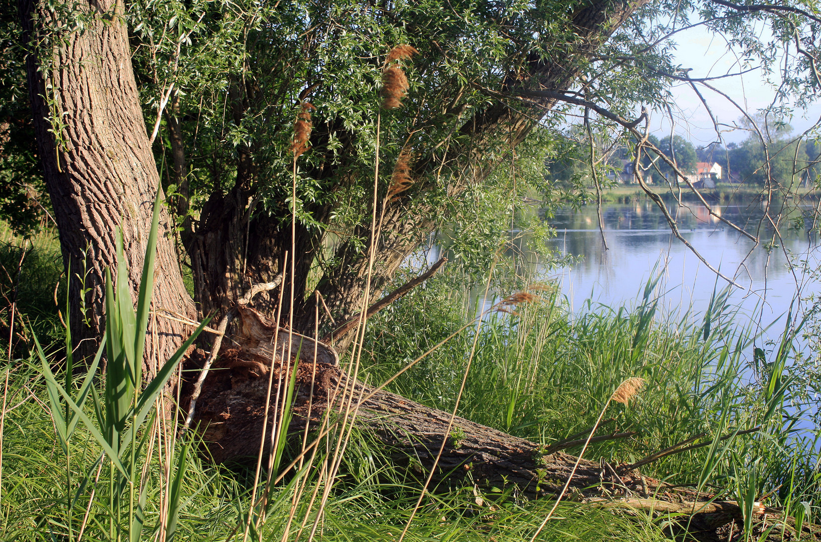am Neuendorfer See Foto & Bild landschaft, bach, fluss & see