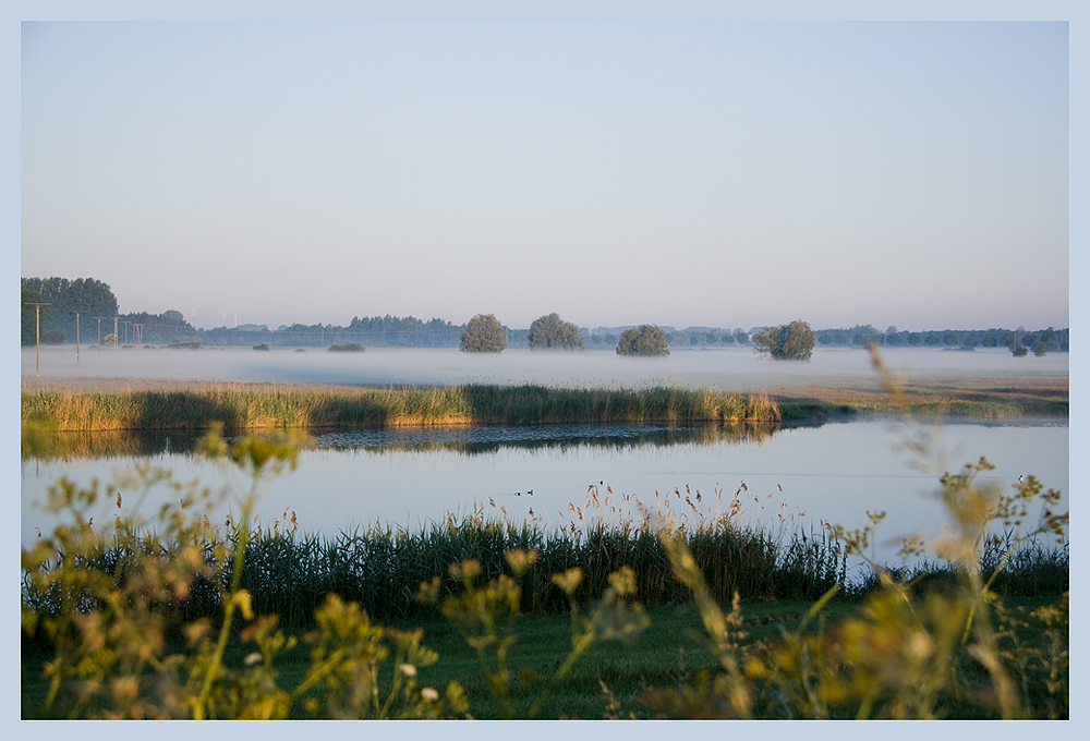 . . . morgens am Niederrhein