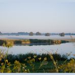 . . . morgens am Niederrhein