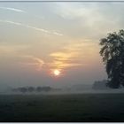 Morgens am Niederrhein