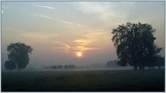 Morgens am Niederrhein