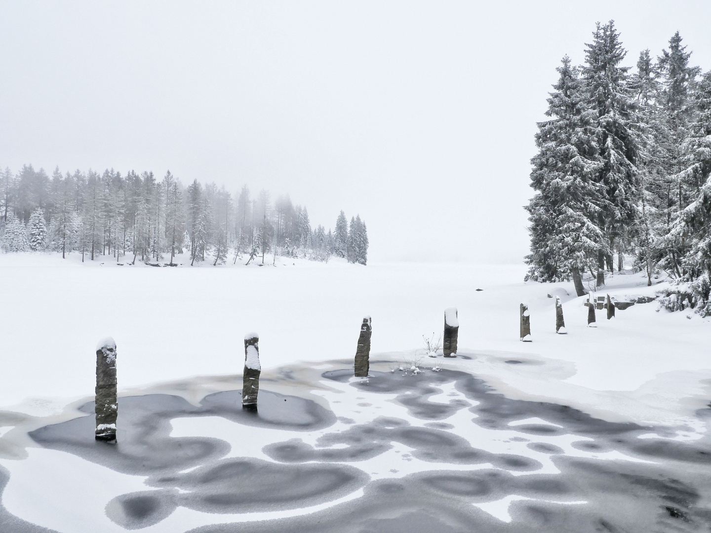 Morgens am Oderteich (Harz)