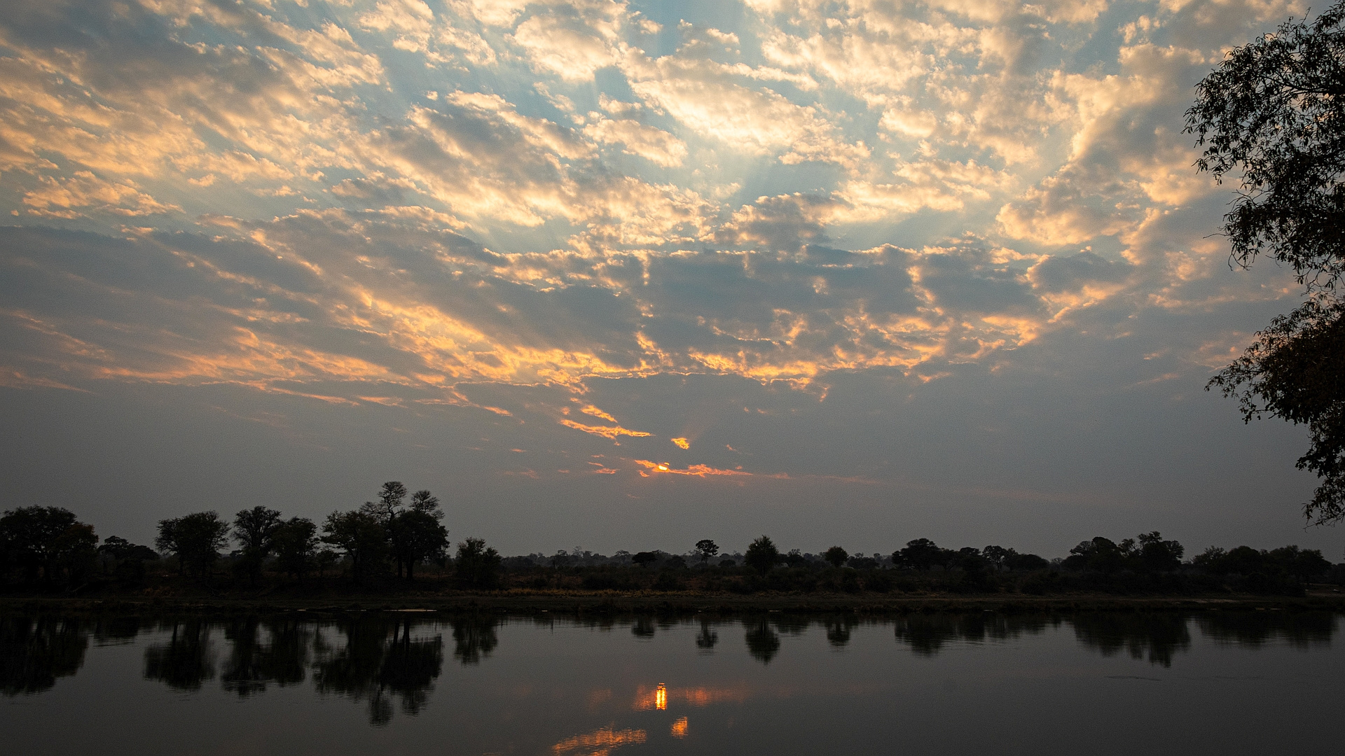 Morgens am Okavango (I)