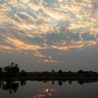 Morgens am Okavango (I)