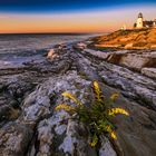 Morgens am Pemaquid Point