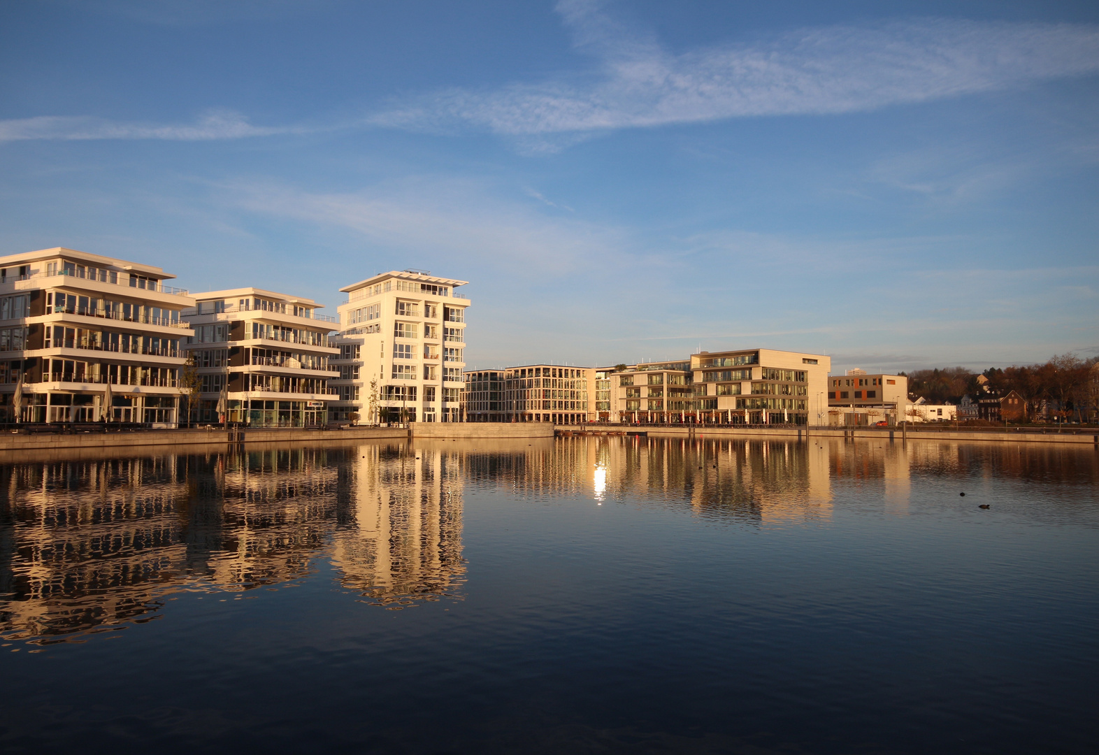 Morgens am phönixsee