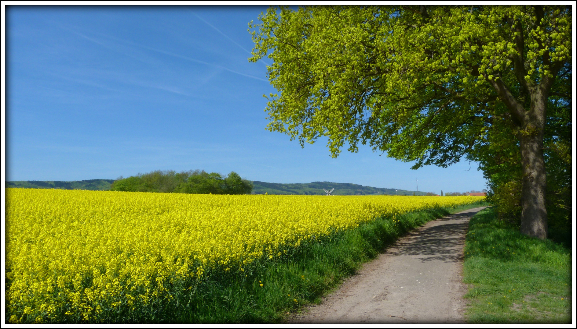 Morgens am Radweg an der Mühlenstrasse..