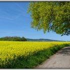 Morgens am Radweg an der Mühlenstrasse..