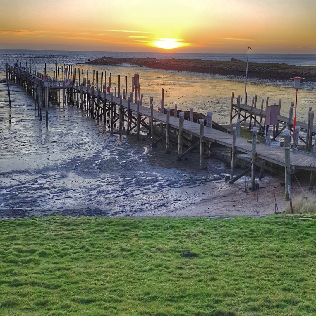 Morgens am Rantum Becken auf Sylt 