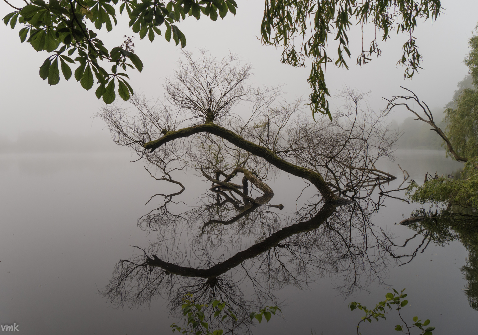 Morgens am Rantzauer See