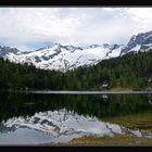 morgen´s am Reedsee